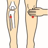 足三里というツボ