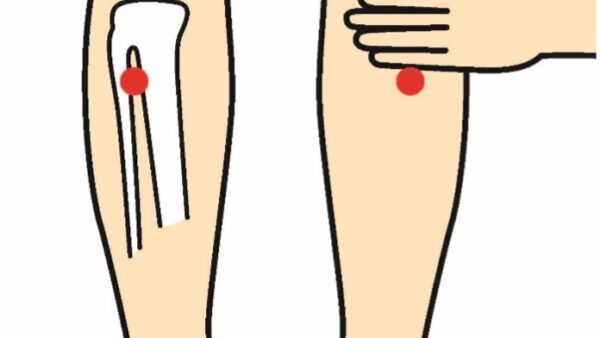 足三里というツボ