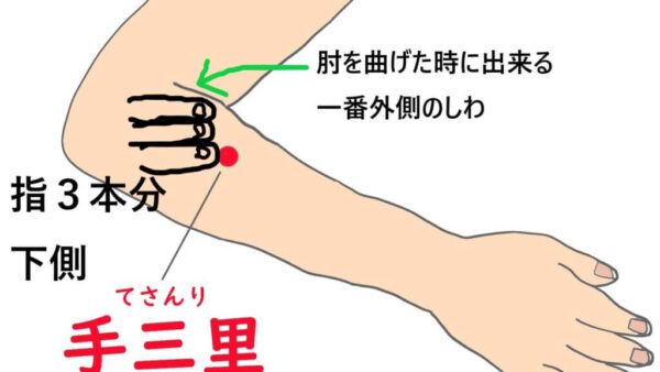 【手三里(てさんり)】というツボについて