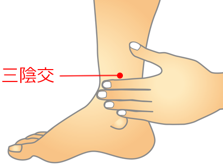 内くるぶしから指4つ分上にあるツボ三陰交のツボ